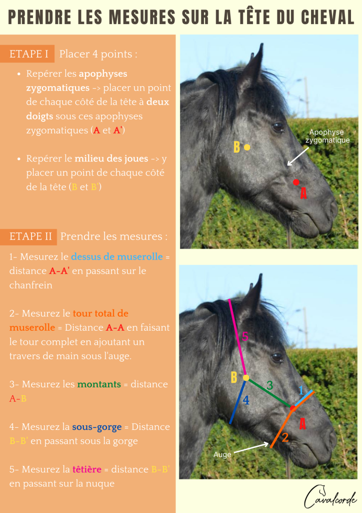 A cet emplacement doit s'afficher une image