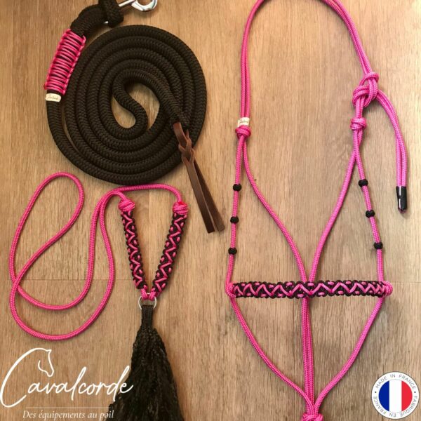 Ensemble licol, longe et cordelette noir rose et noir