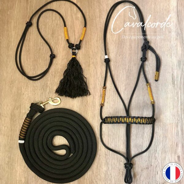 Ensemble licol, longe et cordelette noir et gold