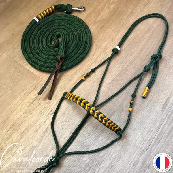 Ensemble licol et longe vert foncé et gold