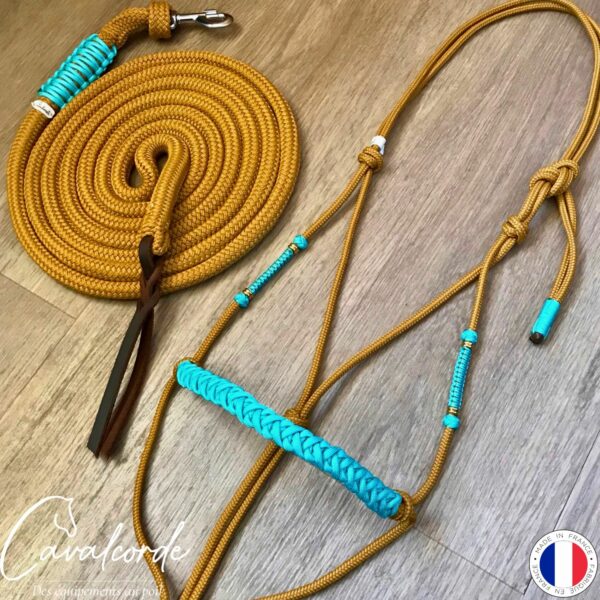 Ensemble licol et longe caramel et turquoise