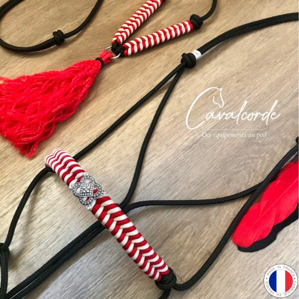 Ensemble licol, collier d'encolure et bijou plumes noir, rouge et crème