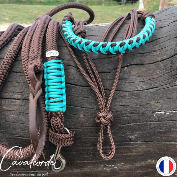 Ensemble licol et longe marron et turquoise