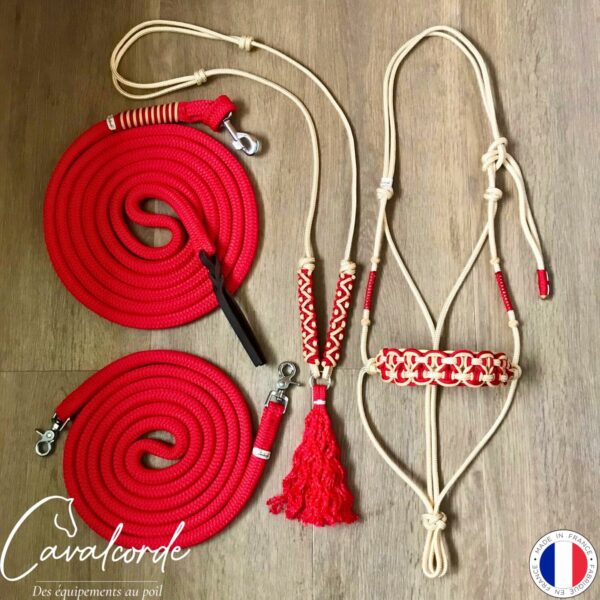 Ensemble licol, longe, rênes, collier d'encolure or brillant et rouge