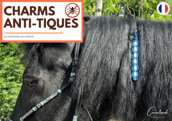 Charm anti-tiques cheval – Image 5