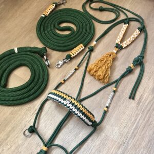 Ensemble licol, rênes, longe et cordelette vert foncé, caramel, crème