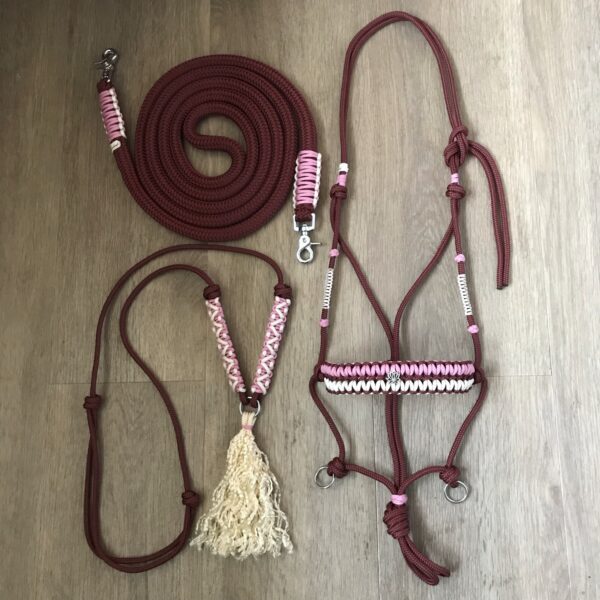 Ensemble licol, rênes et cordelette aubergine brûlée, rose et crème – Image 2