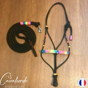 Ensemble licol et longe noir et arc-en-ciel