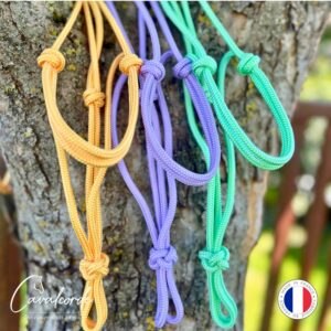 Licol éthologique EDITION LIMITEE PRINTEMPS