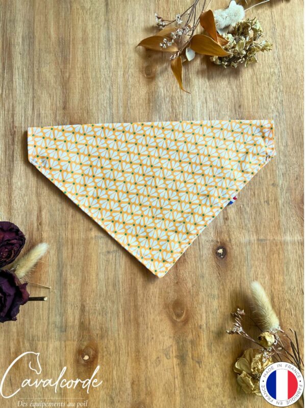 Bandana – Image 17