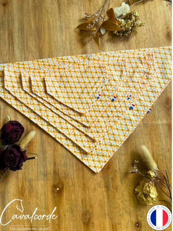 Bandana – Image 18