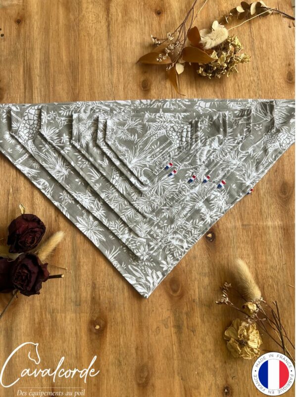 Bandana – Image 32