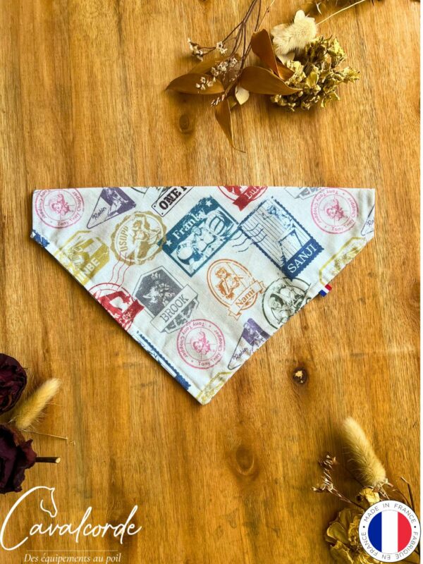 Bandana – Image 27