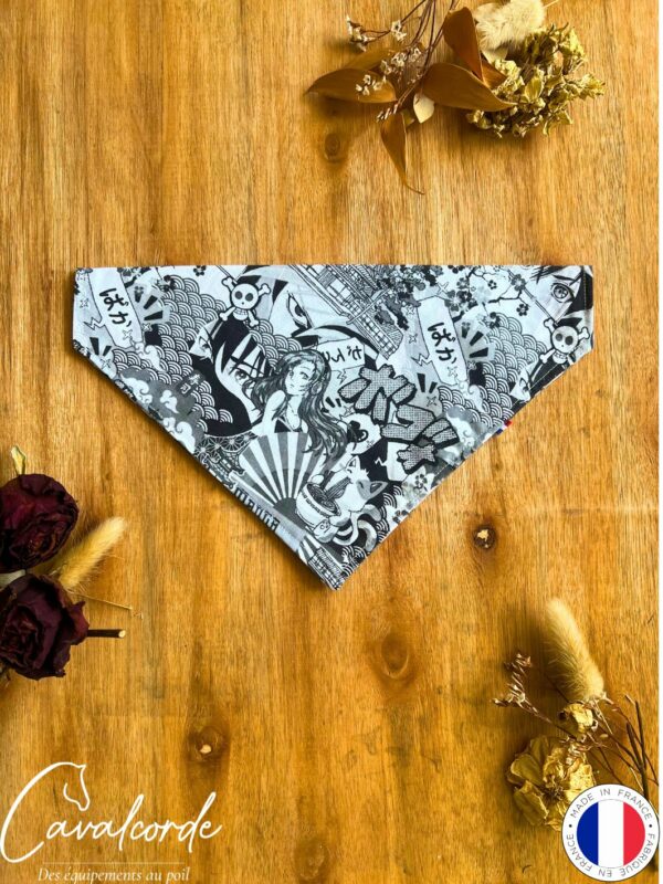 Bandana – Image 25