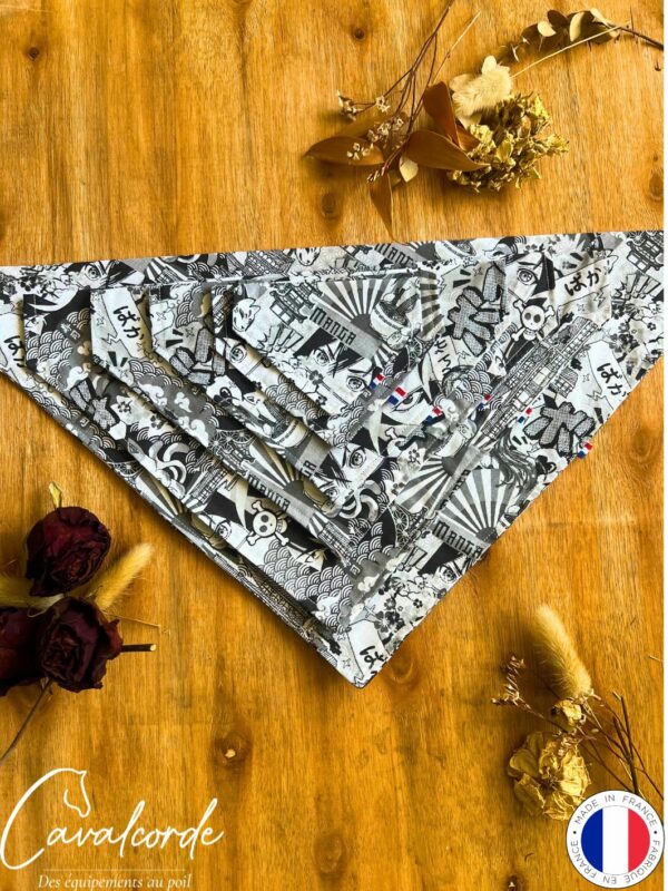 Bandana – Image 26