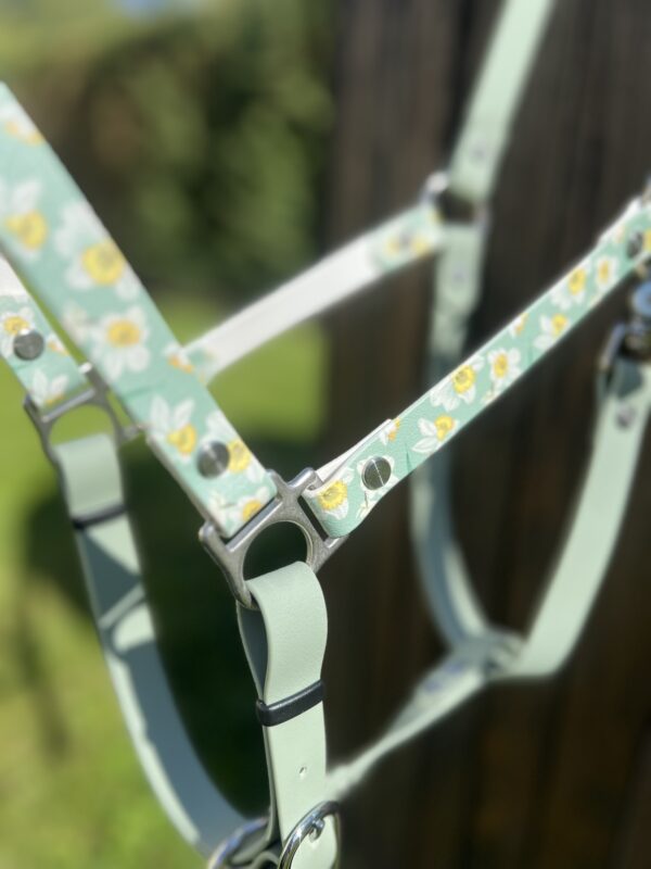 Licol BioThane "Nature fleurie" EDITION LIMITEE – Image 2