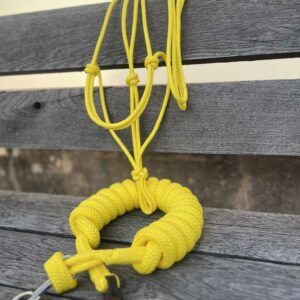 Ensemble licol et longe "Canari"