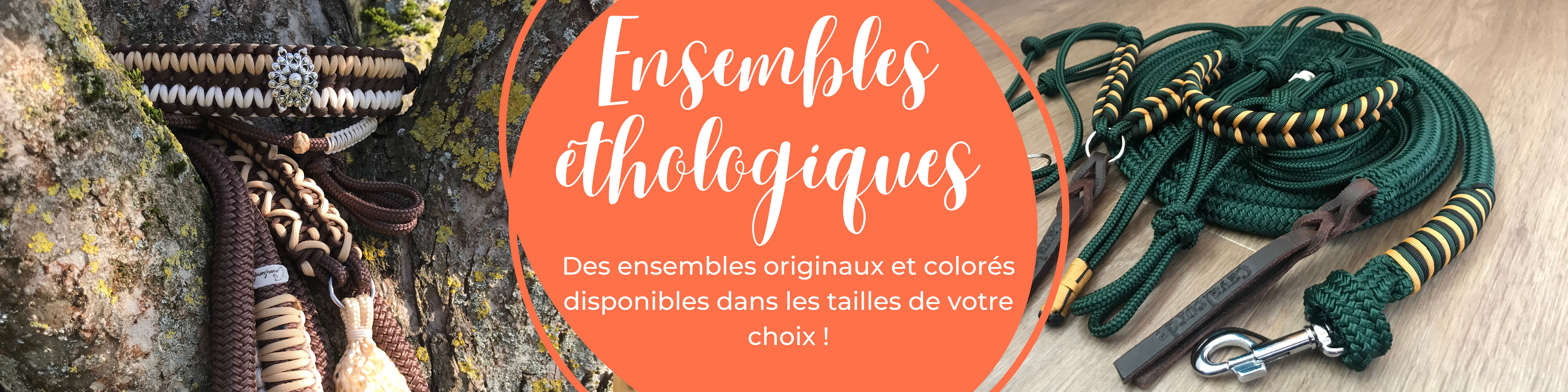 Cliquez ici pour visiter la page des ensembles éthologiques