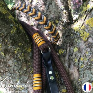 Ensemble collier & laisse "Terre d'Ambre"