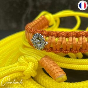 Ensemble licol et longe "Sunflower"