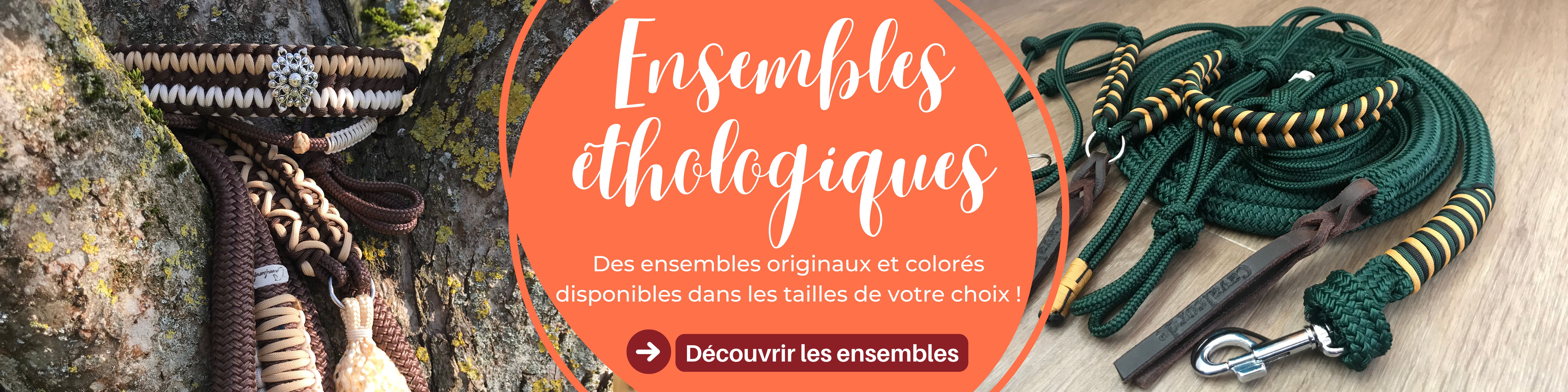 Découvrir les ensembles éthologiques