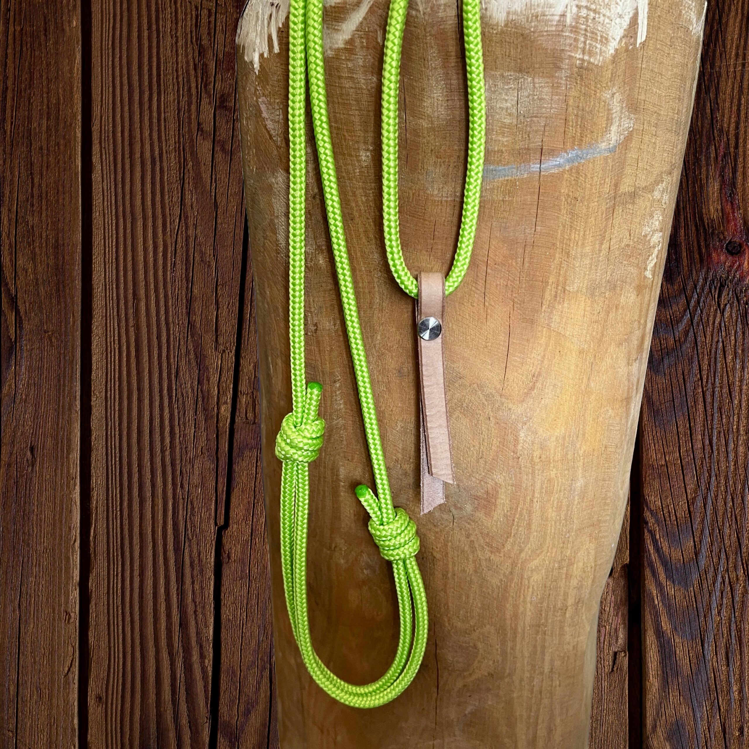 Collier d'encolure élégance avec pendentif cuir